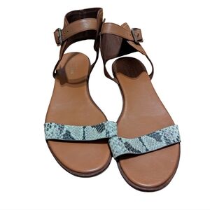 Cole Haan Ankle Strap Leather Sandals with Snakeskin Accent - SZ 7.5B